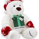 Free Limited-Edition Gund Teddy Bear with $100 Amazon Gift Card